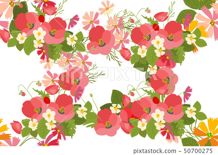 Floral background poppy and cosmos strawberries vector illustration Floral background poppy and cosmos strawberries vector illustration 50700275