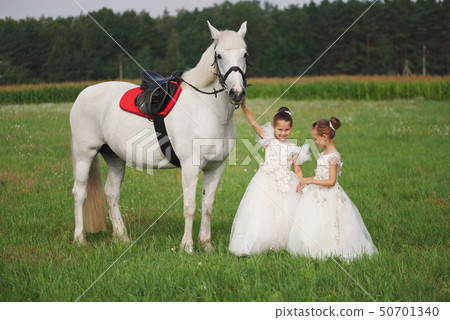little princess with white horse in summer field 50701340