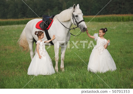 little princess with white horse in summer field 50701353