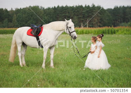 little princess with white horse in summer field 50701354