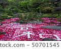 It is pond Izumi peony of Yushien 50701545