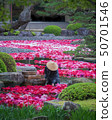 It is pond Izumi peony of Yushien 50701546