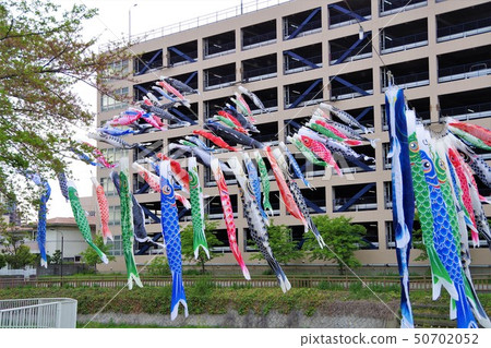 Carp streamer Carp streamer 50702052