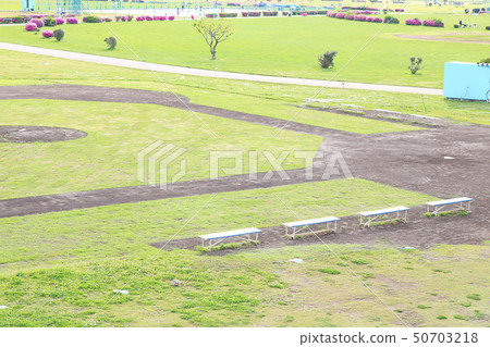 草多摩河的棒球場 草多摩河的棒球場 50703218