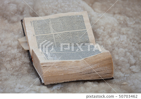 The forgotten old book covered with salt of the Dead sea. Israel. The forgotten old book covered with salt of the Dead sea. Israel. 50703462