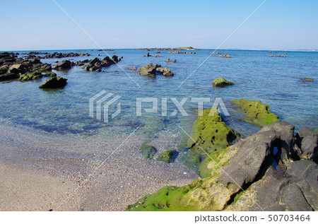 天神島(橫須賀市) 天神島(橫須賀市) 50703464