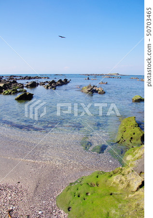 天神島（橫須賀市） 50703465