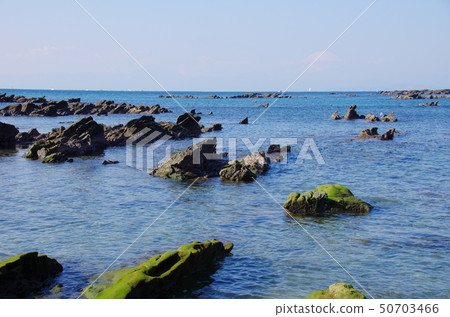 天神島（橫須賀市） 50703466