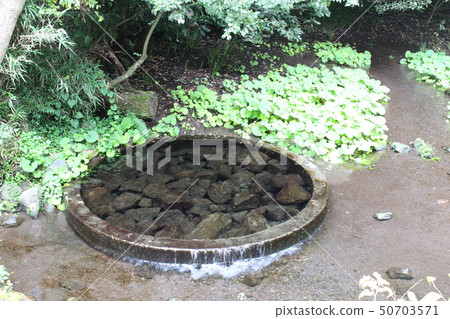 Shishigawa floodplain group [Shitoto-gun, Shizuoka Prefecture] 50703571