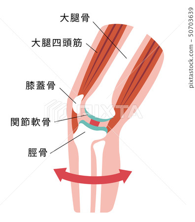 Arthralgia of the knee (degenerative knee arthropathy) Mechanism and cause of occurrence Illustration / Healthy knee 50703639