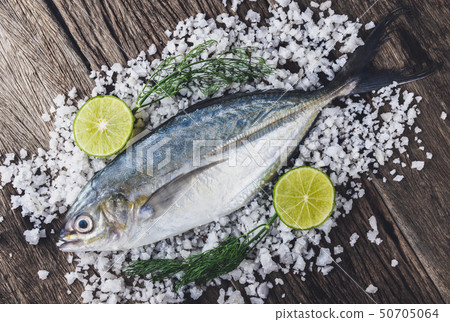 Sea Trevally fish or jack fish. 50705064