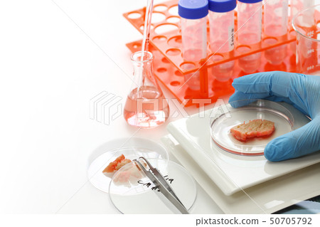 Cultured meat preparation image 50705792