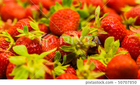 just fresh red strawberries with green leaves 50707850