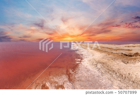 Sunset pink salty Syvash Lake, Ukraine 50707899