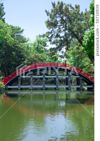 住吉泰莎橋 住吉泰莎橋 50710939