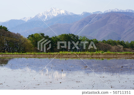 水稻種植前稻田和南部阿爾卑斯山 水稻種植前稻田和南部阿爾卑斯山 50711351