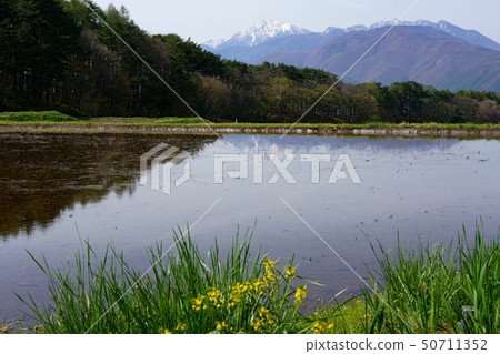 水稻種植前稻田和南部阿爾卑斯山 水稻種植前稻田和南部阿爾卑斯山 50711352