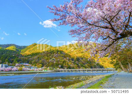 京都·嵐山·渡月橋 京都·嵐山·渡月橋 50711495