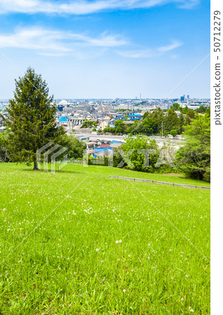 [東京]來自多摩市櫻丘公園的城市景觀 50712279