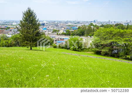 [東京]來自多摩市櫻丘公園的城市景觀 50712280