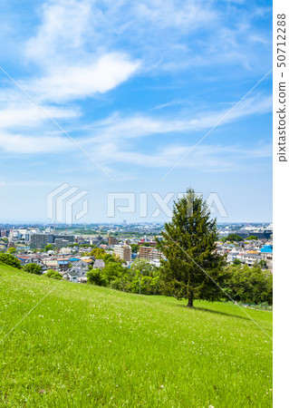 [東京]來自多摩市櫻丘公園的城市景觀 50712288