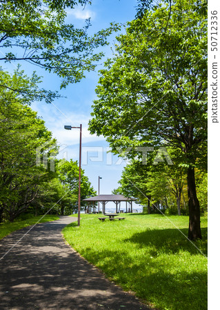 [東京]多摩市櫻丘公園 50712336