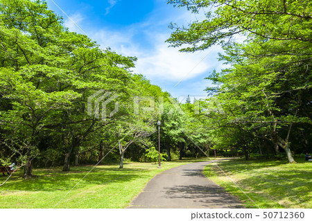 [Tokyo] Tama City Sakuragaoka Park 50712360