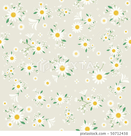 Seamless Beautiful daisy floral pattern-vector 50712438
