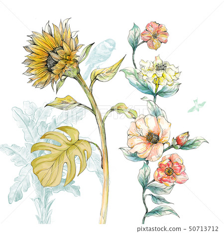 線描水彩花卉組合 線描水彩花卉組合 50713712