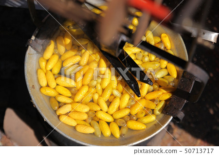yellow silkworm cocoons in pot, The process of 50713717