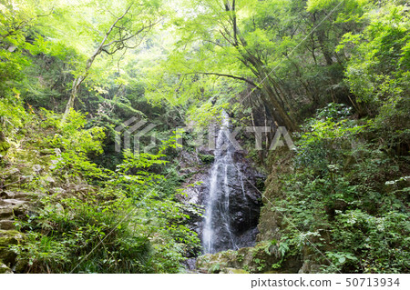 日本Kashihara-mura,Tonosawa-no-taki瀑布的百選瀑布飲用水源頭 日本Kashihara-mura,Tonosawa-no-taki瀑布的百選瀑布飲用水源頭 50713934