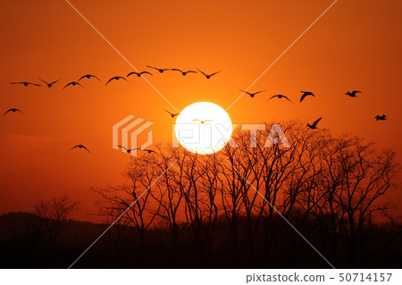 Miyajimanuma Sunset Magan Miyajimanuma Sunset Magan 50714157