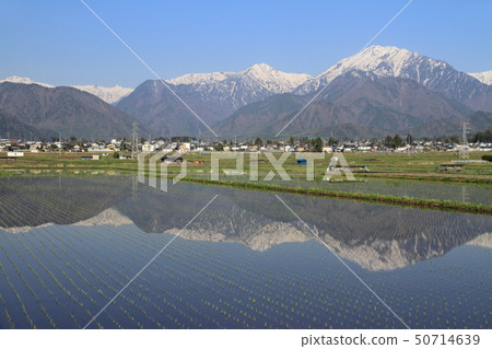 Shinano Omachi May mountain view 50714639