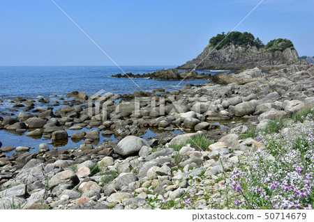 Kamojima Echizen加賀海岸國家紀念碑Kamogawa露營地海 50714679