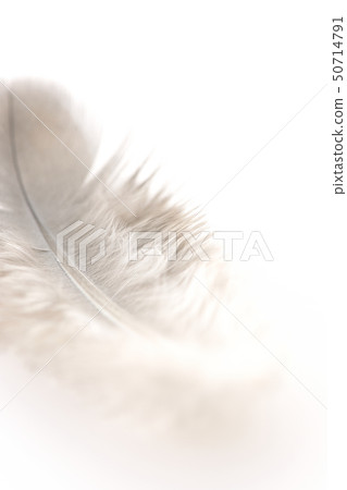 Fluffy Fluffy 50714791