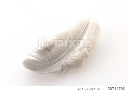 Fluffy Fluffy 50714792