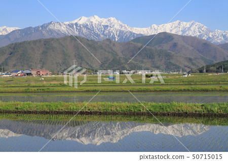 信濃大町五月山景 信濃大町五月山景 50715015