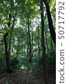 森林 50717792