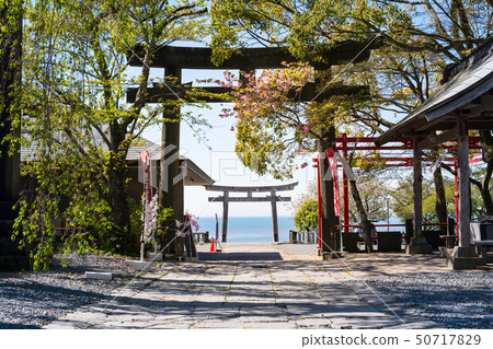 A double torii of a shrine with a view of the sea 50717829