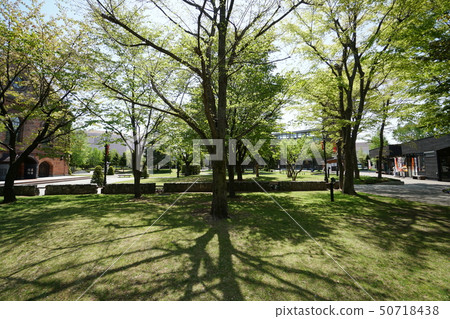 札幌啤酒花園景觀 札幌啤酒花園景觀 50718438