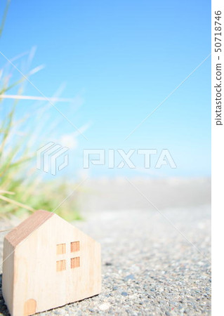 海灘和樹屋 50718746