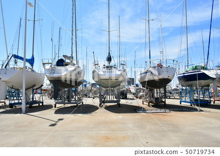 Yotto Harbor  50719734