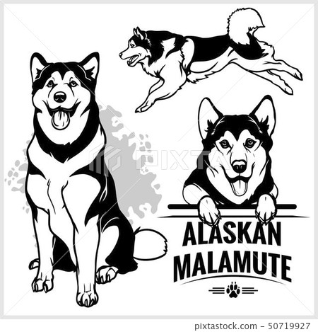 can a alaskan malamute live in martinique