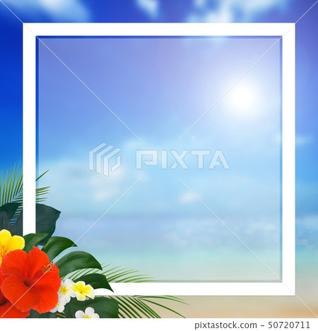 背景 - 熱帶 - 海 - 天空 - 夏天 - 海灘 - 芙蓉 - 框架 50720711