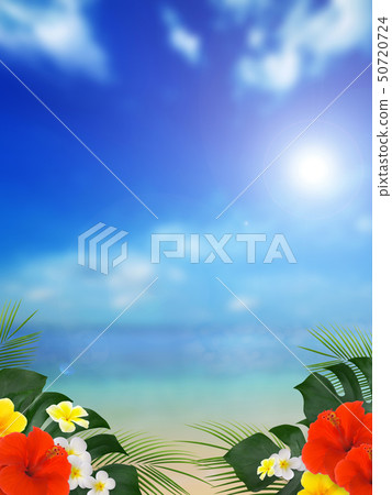 Background-Southern-Ocean-Sky-Summer-Beach-Hibiscus 50720724