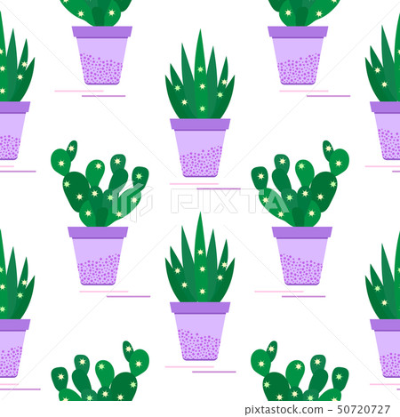 Seamless pattern with potted cactus, succulents 50720727