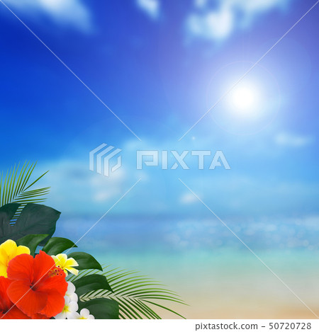 背景 - 熱帶 - 海 - 天空 - 夏天 - 海灘 - 芙蓉 50720728