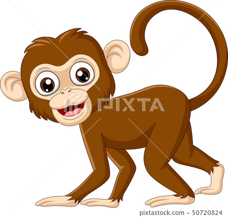 Cute baby monkey on white background Cute baby monkey on white background 50720824