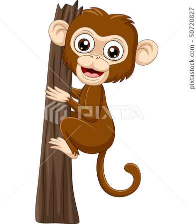 Cartoon baby monkey climbing tree branch Cartoon baby monkey climbing tree branch 50720827