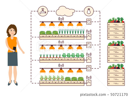 Woman controls the smart farm and agriculture 50721170